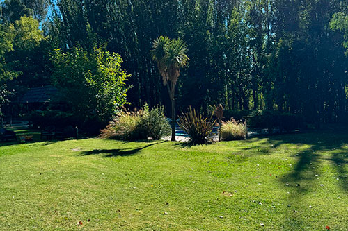 Cabañas La Posta del Cholo