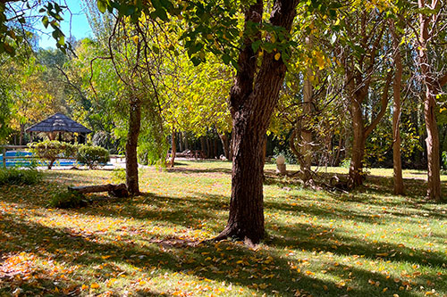 Cabañas La Posta del Cholo