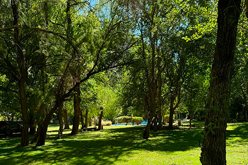 Cabañas La Posta del Cholo