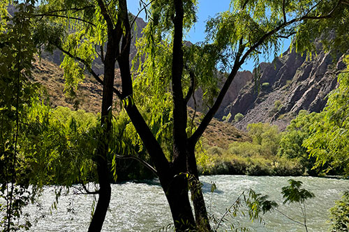 Cabañas en Valle Grande